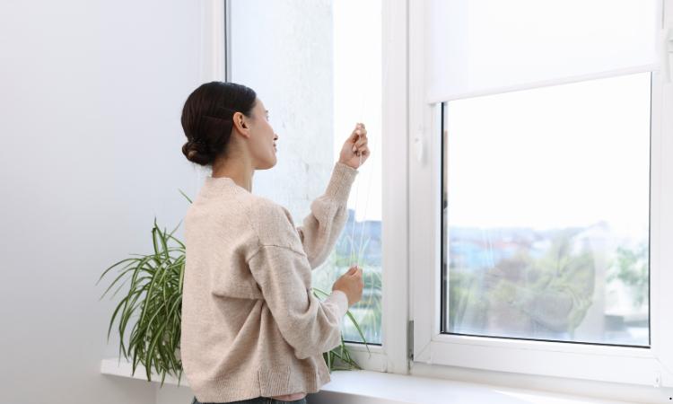 Roller Blinds in Los Angeles, CA

